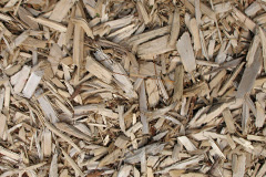 biomass boilers Dertfords
